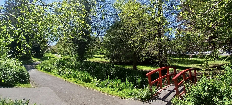 Festival gardens